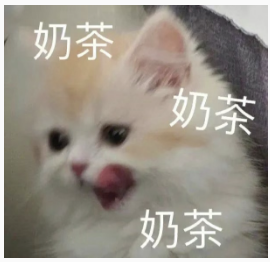奶茶小猫梗图